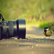 Enjoying Photography